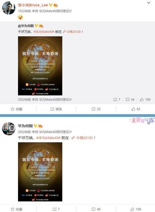 马荣爆料视频大全最新版,揭秘娱乐圈不为人知的秘密